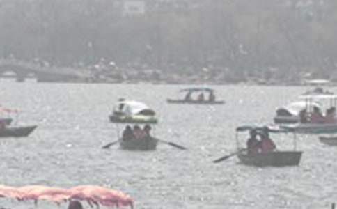 �ƺ���������