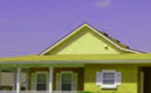 �췿��ͯԒ����