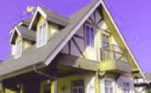 ���ص�Ģ����������