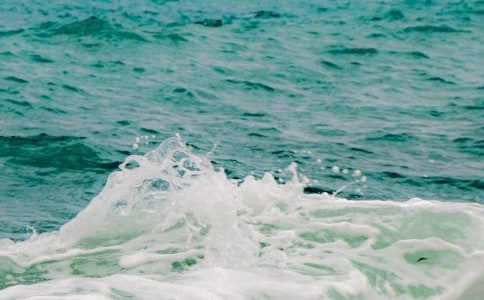 �w�B���~������ɢ��