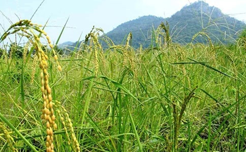 �^�����r(sh��)���Ĵ����x��з��ģ����x27ƪ��