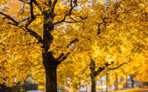 �l(xi��ng)����@�L(f��ng)��������