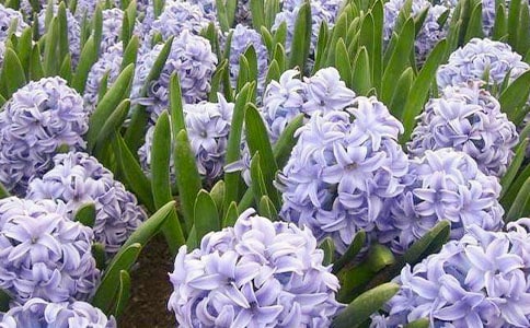 �L(f��ng)������ӛ�����x11ƪ��