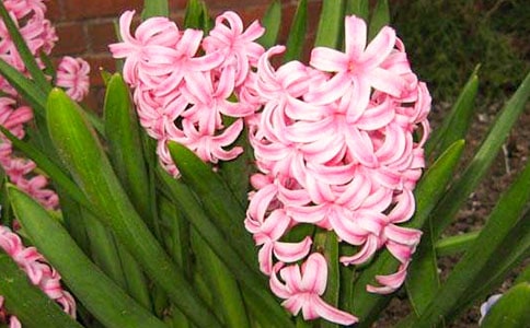 �L(f��ng)�����^����ӛ900��