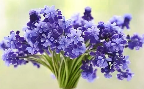 ���P(gu��n)���L���ӵ��^����ӛ