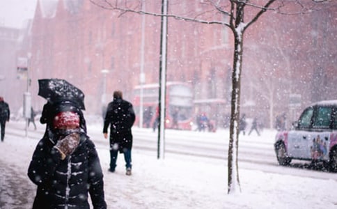 ��(��i)���L(f��ng)ѩ������