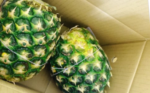 �P���P������ģ�ͨ��21ƪ��