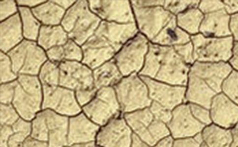 �����ֹ��Į���͸ɺ������}���(d��ng)