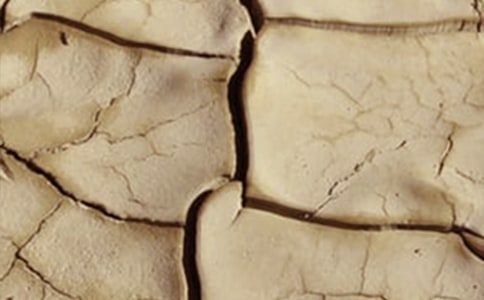 ���Üض�ֲ���ɺ�ָ��(sh��)�������粩�ݵ؅^(q��)�������