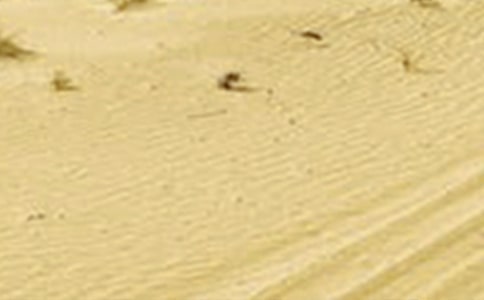 �����в��ɺ����ɺ������u(p��ng)�������о�