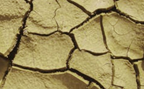 關(guān)于干旱的小河的作文