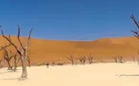 關于干旱的作文:如果我是一只鳥(旱災感想)