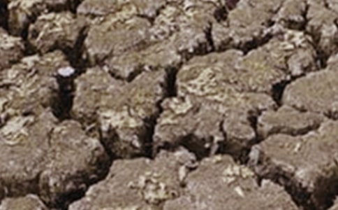 �P(gu��n)�ڸɺ�������