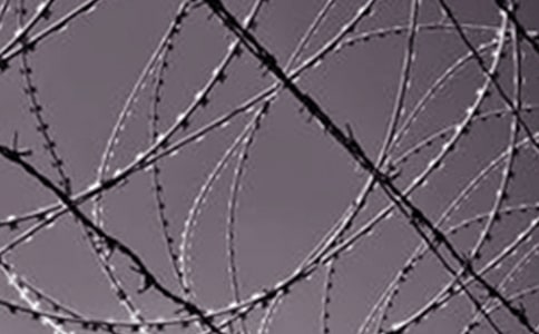 ��F�S��(sh��)��(x��)�ĵ��w��(hu��)����