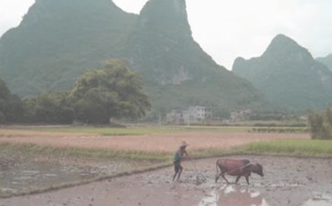 ����,�_(k��i)���S���ļ҈@ɢ��