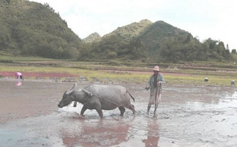 ͯȤ����ţ�ā�(l��i)������w��ë�����ͺ��������Pѩ���W�\(y��n)����ԭ֮������ٝ(��һ��(d��ng)��)