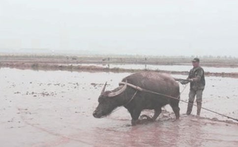 �T���Ђ�ϲ����-ӛȫ���Zʳ���a(ch��n)����܊