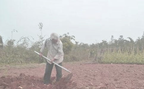 諸城有個喜耕田-記全國糧食生產(chǎn)大戶吳軍