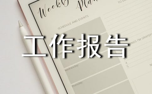 技術(shù)工作報告格式