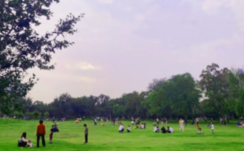 蓮花池公園 -資料