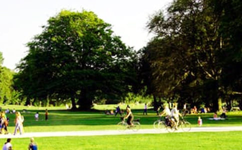 ���@��ӛ����(���x)