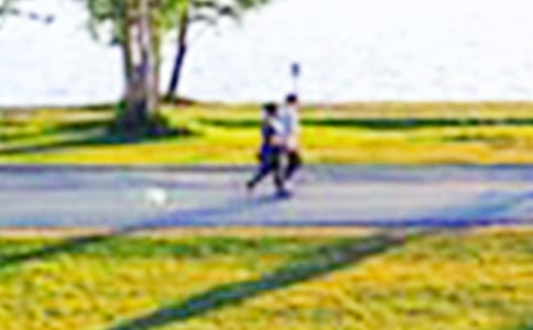 ���Č���ɽ���@��ӛ