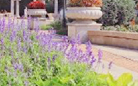 ����ɏ���ع��@ -�Y��