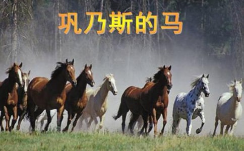 《鞏乃斯的馬》教案設(shè)計(jì)