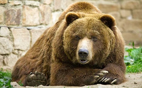 Ӣ��׃����С�W(xu��)����