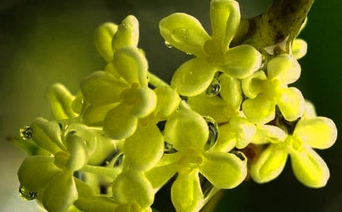 ����Ĺ������ģ�ͨ��29ƪ��