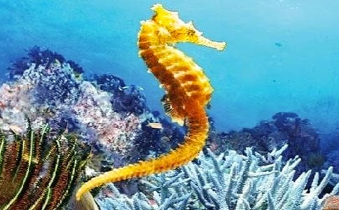 ������g(sh��)���R�ְֽ̰�