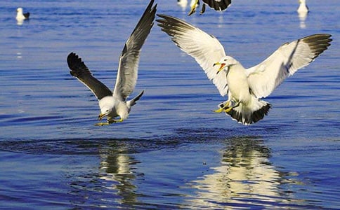 ���t����ӛ