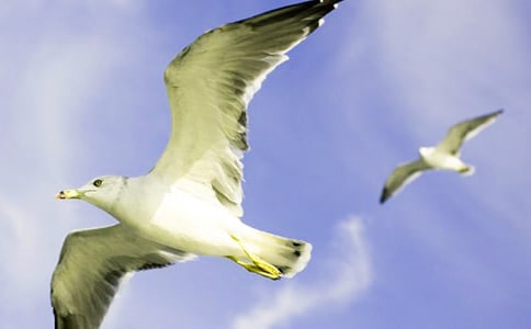 ���t�������k��