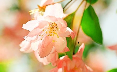 ���Ļ��^����ӛ(���x8ƪ)