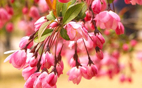 �^�캣�Ļ���ӛ��ͨ��14ƪ��