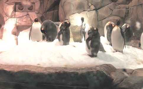 �O�غ��󹫈@��ӛ����