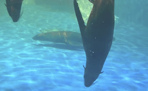 �δ��B�ϻ������󹫈@���ģ����x24ƪ��