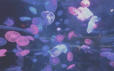 �P(gu��n)�ں��󹫈@��ӛ������