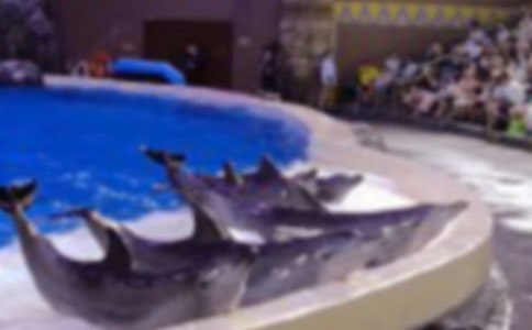 �x�{ɫ�ĺ����u�и�600��