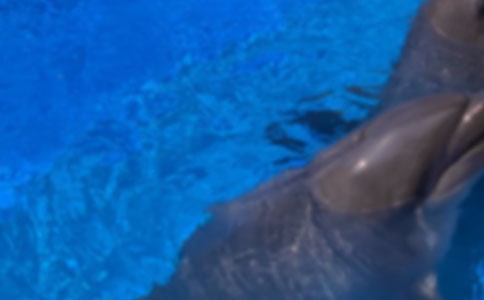 ���{(l��n)ɫ�ĺ����u���x�������550��