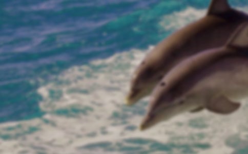 ������(y��u)������