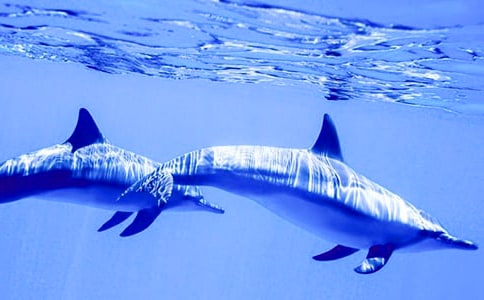 �x�����u�и�