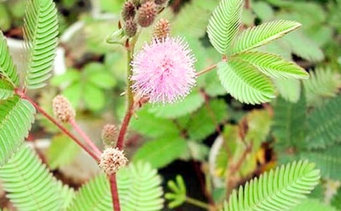 �β�ס�ĺ��߲�_750��