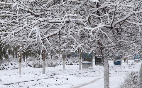 ����̩�؅^(q��)2008-04-17��������^�̷���