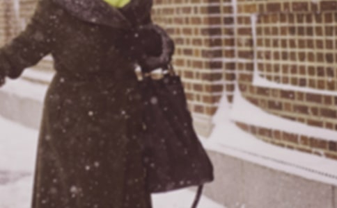 特別的寒潮來襲作文(精選12篇)