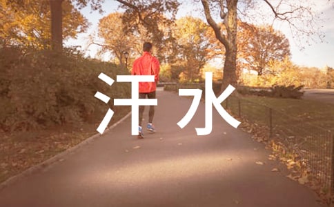 成功的汗水作文