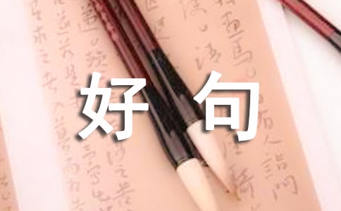 �þ�ö�ժ�������x490�䣩