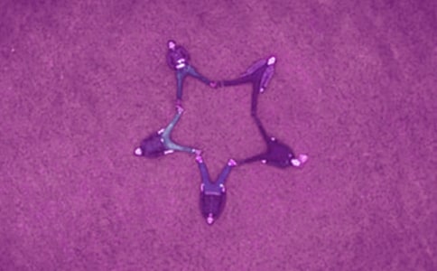 給好友的新春賀詞