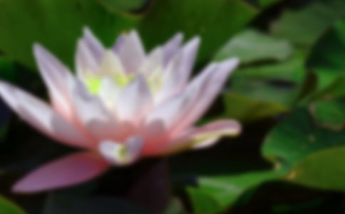 ���ɻ�������