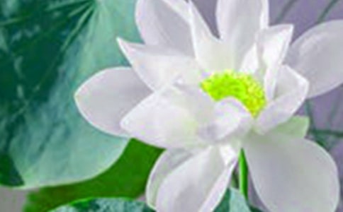 �ɻ������ǌ���(y��u)������